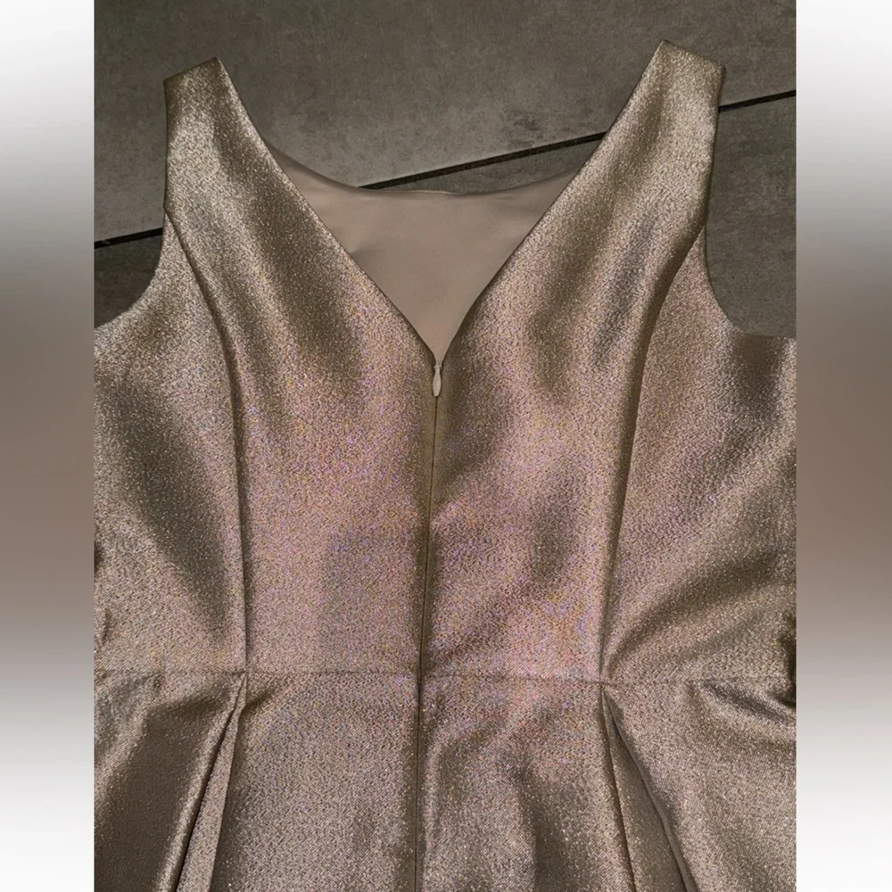 White House Black Market Champagne Glitter Cocktail Holiday NYE Dress Size 2 - Picture 9 of 15